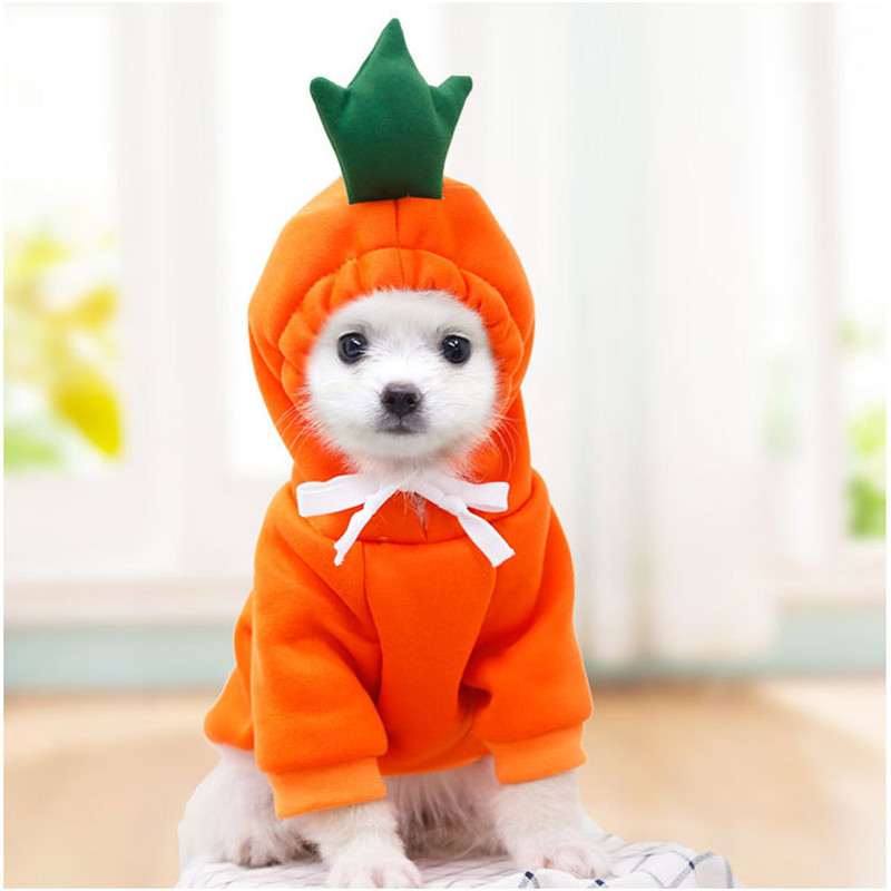 ผลไม้น่ารักเสื้อผ้าสุนัขสําหรั - Winter Clothing Pictures บทวิจารณ์และราคา