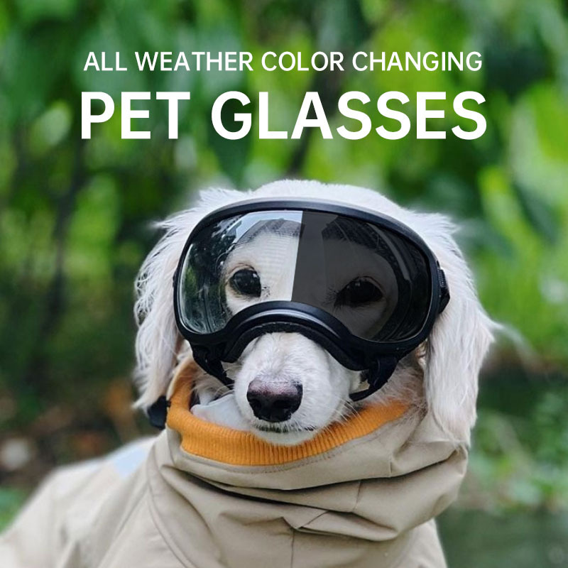แว่นตาสัตว์เลี้ยงเปลี่ยนสี แว่ - Snow Goggle Uv บทวิจารณ์และราคา